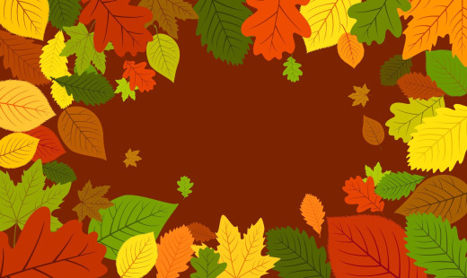 1028815 (a): :1920x1143